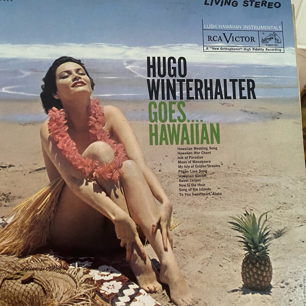 Hugo winterhalter goes Hawaiian record